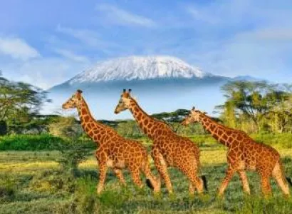 4 Day Kenya Safari Classic Tour