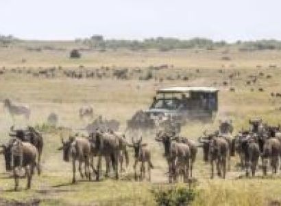 2-Day Maasai Mara Tour Package