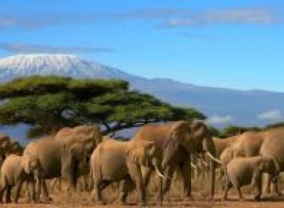 2-Day Amboseli National Park Tour