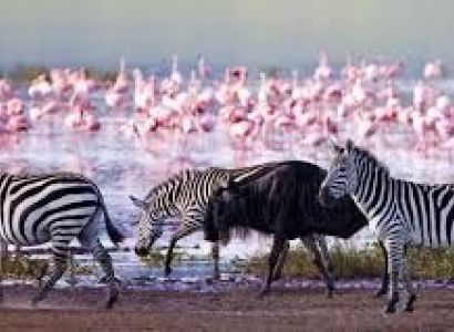 3-Day Itinerary For Lake Nakuru National Park Tour