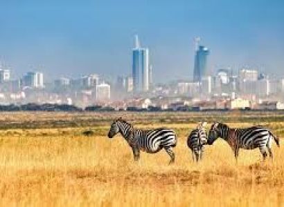 1-Day Nairobi National Park Tour Package