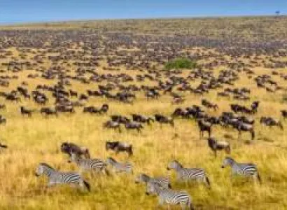 Ngorongoro Tour Packages