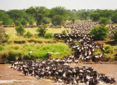 6 Day Botswana Safari Tour