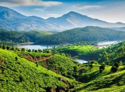Thekkady Tour Packages