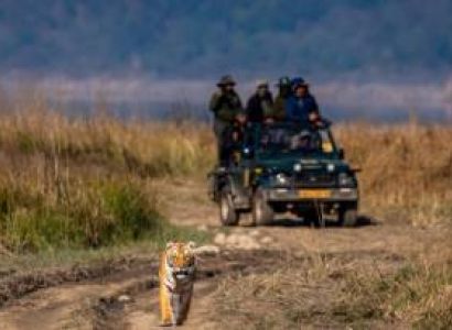 Jim Corbett - Nainital Tour 4N - 5D