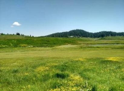 Delhi - Kashmir - Delhi