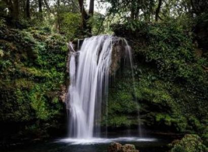 Jim Corbett 2 Night & 3 Days