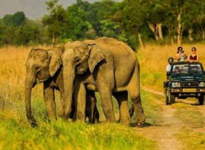 Jim Corbett 2 Night & 3 Days