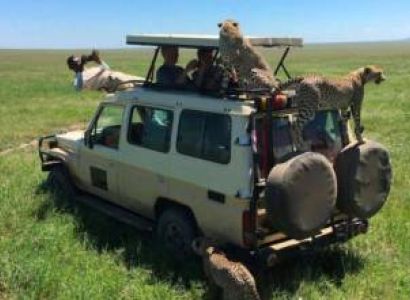 Ngorongoro Tour Packages