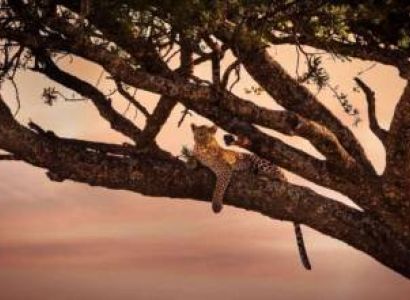 Ngorongoro Tour Packages