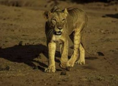 Samburu Tour Packages