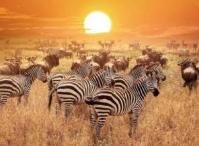Samburu Tour Packages