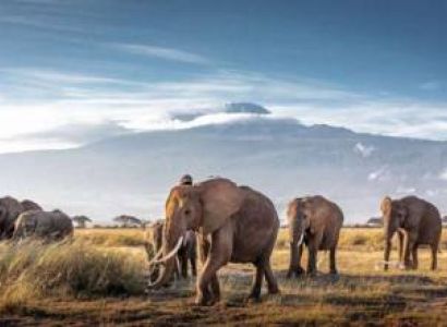 Samburu Tour Packages