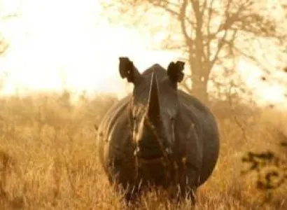 Samburu Tour Packages