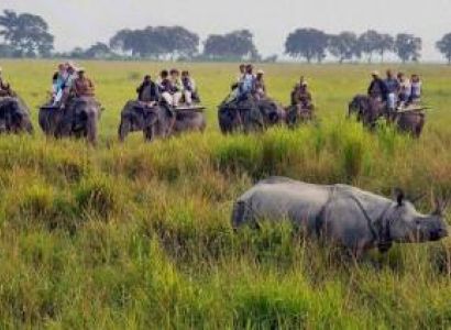 3 Night 4 Days Kaziranga Rhino Safari Tour