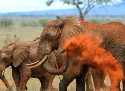 Ngorongoro Tour Packages