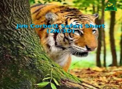 Jim Corbett – Safari Short (2N/3D)