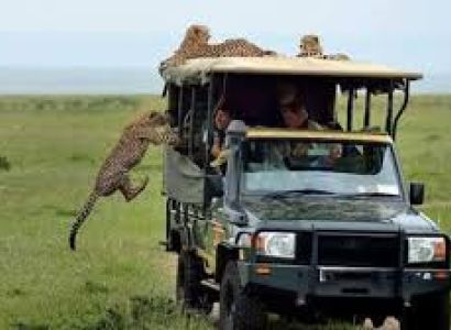 Kenya 7 Day Safari & Beach Escape