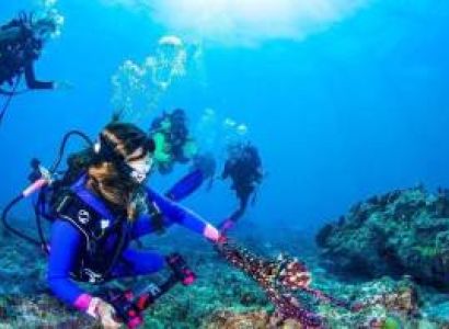 Kenya 7 Day Safari & Beach Escape