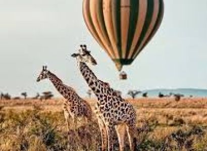 Tanzania 10-Day Safari & Island Escape