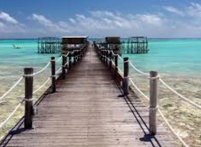 Tanzania 10-Day Safari & Island Escape