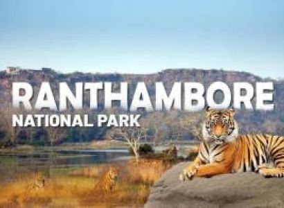 Rajasthan Jaipur(2N),  Ranthambore(2N) Holiday Package