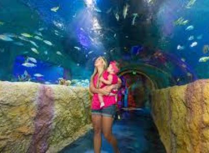 Thailand Holiday Package | 06 Nights 07 Days