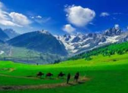 08 Nights 09 Days 2026 - Misty Kashmir