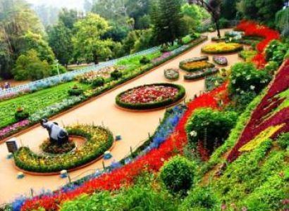 2 Nights /3 Days Ooty Tour Package