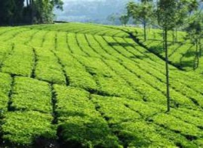 2 Nights /3 Days Ooty Tour Package