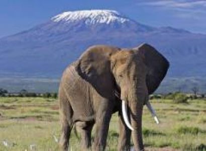 8 Days Tanzania Luxury Safari The Northern Tanzania Explore Tour
