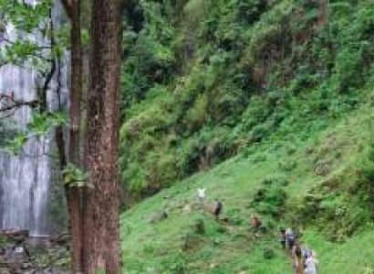 7 Days Tanzania Camping Safari Tarangire - Serengeti - Ngorongoro Tour