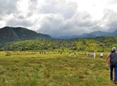 14 Days Serengeti Honeymoon Safari Tour