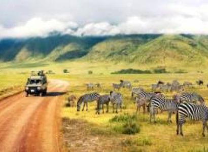 3 Days Serengeti Fly-In Safari Tour