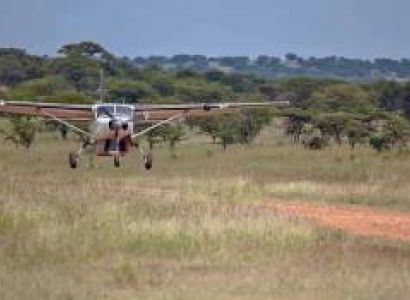 3 Day Tanzania Fly-In And Out Safari Tour