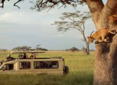 5 Day Fly-In And Drive Out Serengeti Safari Tour