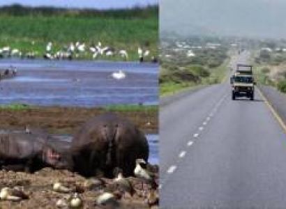 3 Days Tanzania Family Safari Tour