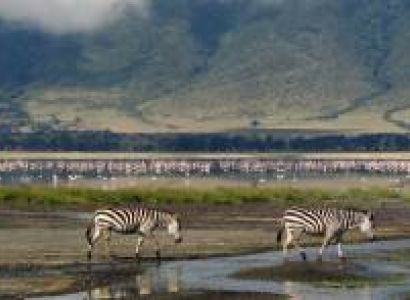 5 Days Tanzania Family Safari Tour