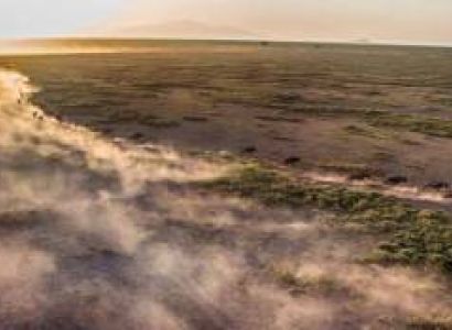 8 Days Serengeti Photography Tour