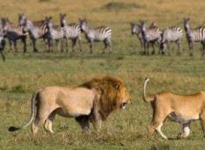 9 Days Ballon Safari Fly To Southern Serengeti Migration Tour