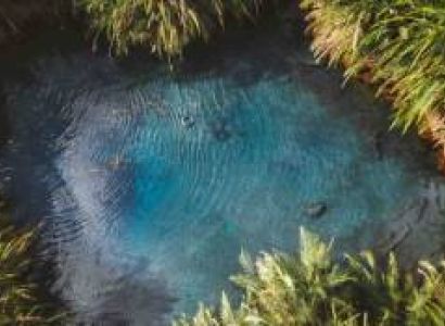 Kikuletwa Hotspring Day Trip