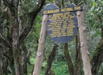 7 Days Machame Route Mount Kilimanjaro Trekking Tour