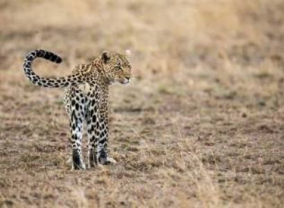 Amboseli National Park