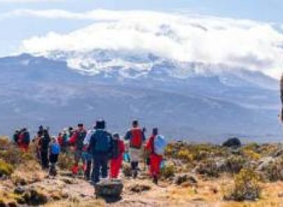 7 Days - Lemosho Route Tour