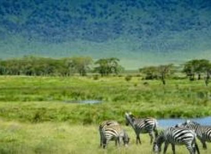3 Days Safari - Tarangire - Lake Eyasi - Ngorongoro Conservation Area Tour