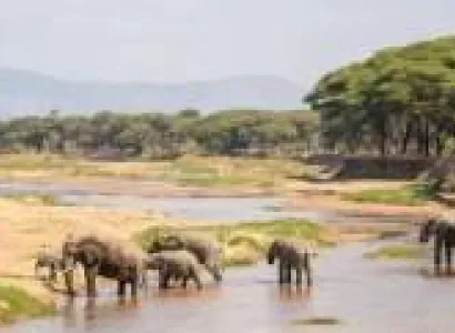Manyara Tour Packages