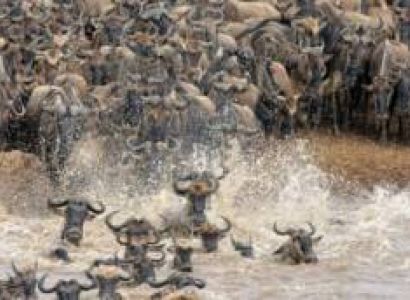 2 Days Safari - Arusha National Park - Tarangire National Park Tour