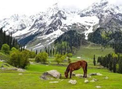 6 Nights - 7 Days Srinagar Tour Package
