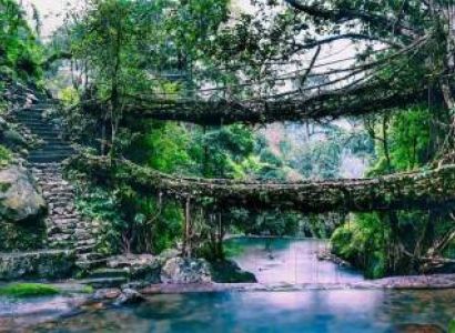 6 Night 7 Day Assam - Meghalaya Wonders Tour