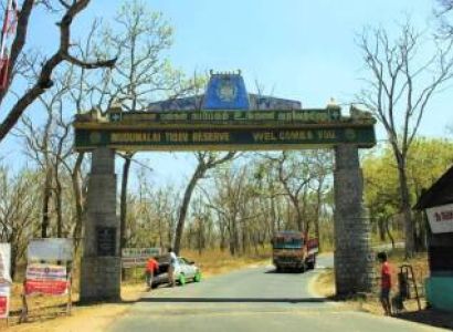 Mudumalai Tiger Reserve Tour Package